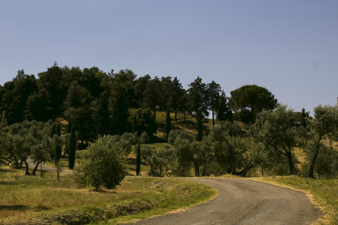 Agriturismo Aia Leccioni Micciano Buitenkant foto