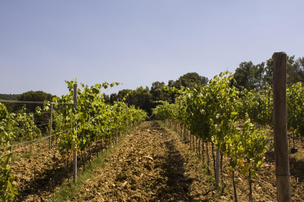 Agriturismo Aia Leccioni Micciano Buitenkant foto